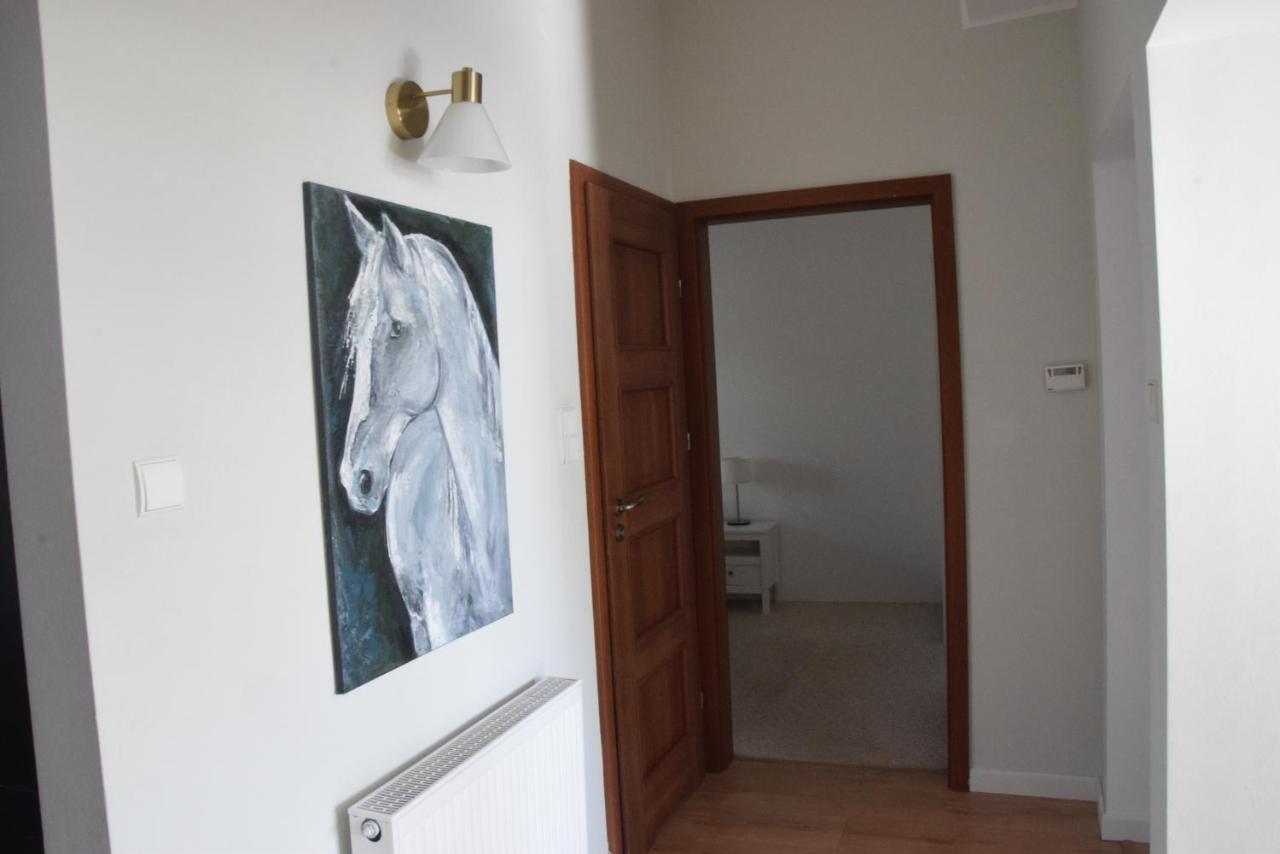 Appartement Urocze Przestronne,W Idealnej Lokalizacji à Bielsko-Biała Extérieur photo